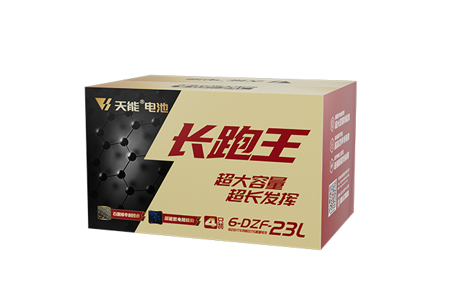 天能(néng)長(zhang)跑王係(xi)列